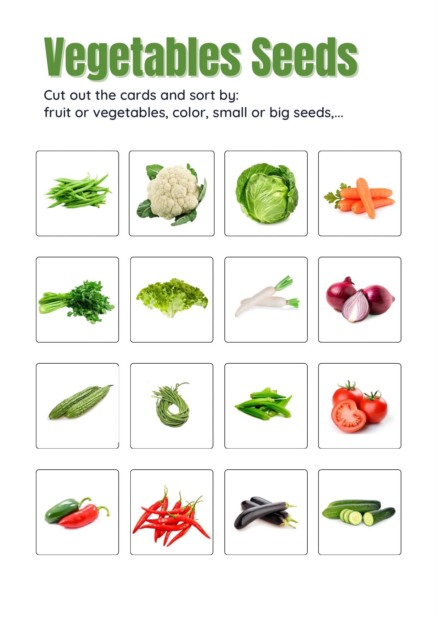 Vegetable seeds / Binhi ng gulay
