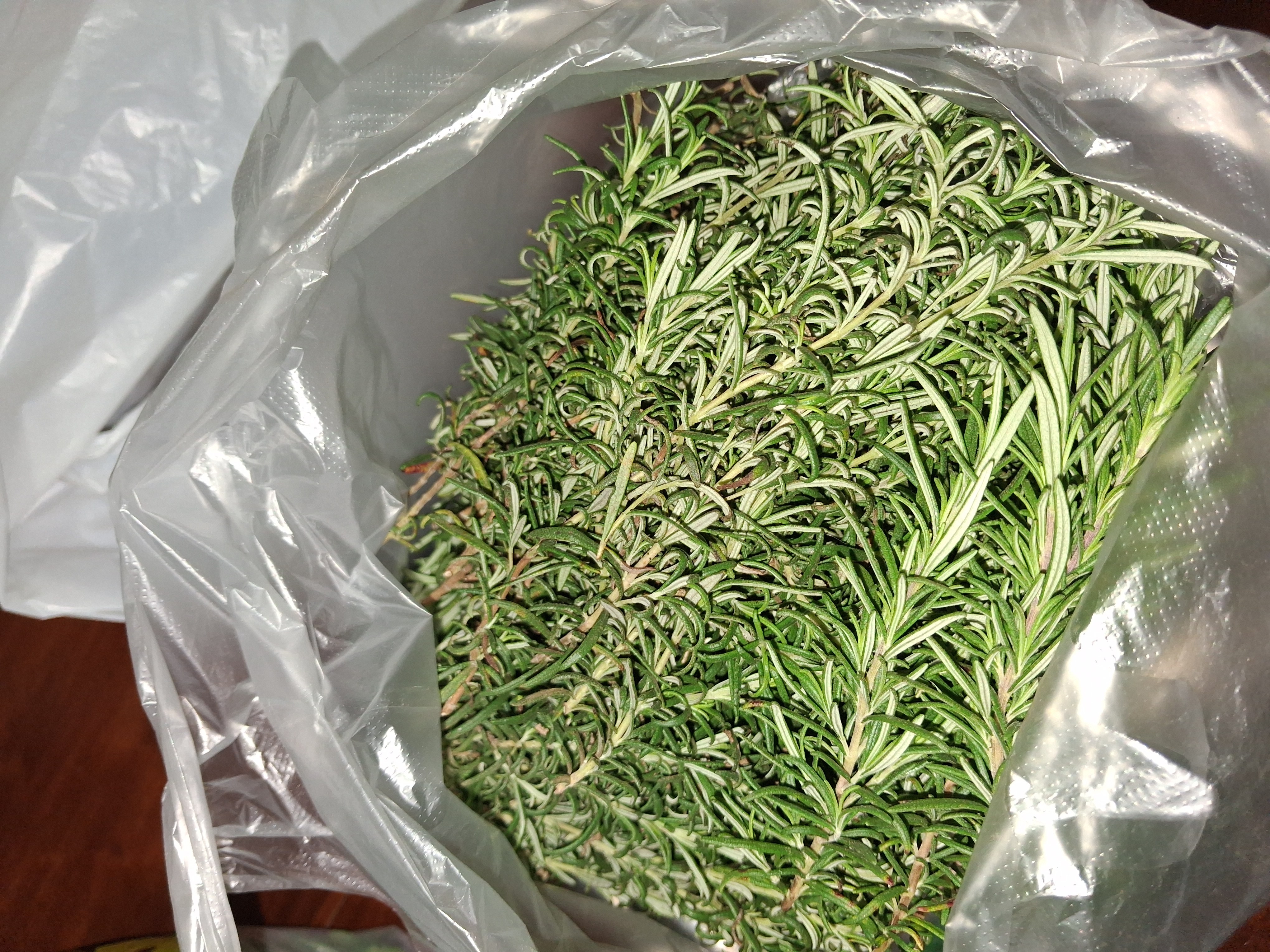 rosemary photo 3