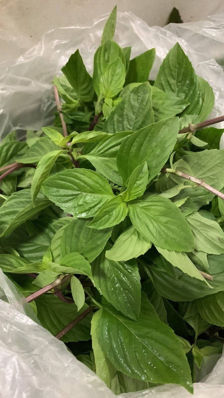 thai basil