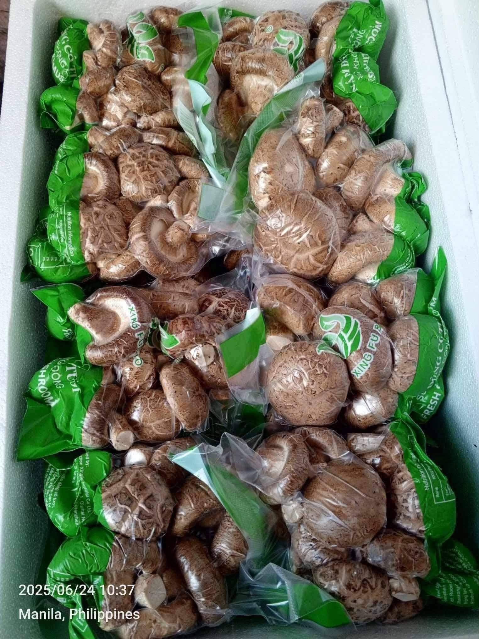 SHITAKE MUSHROOMS