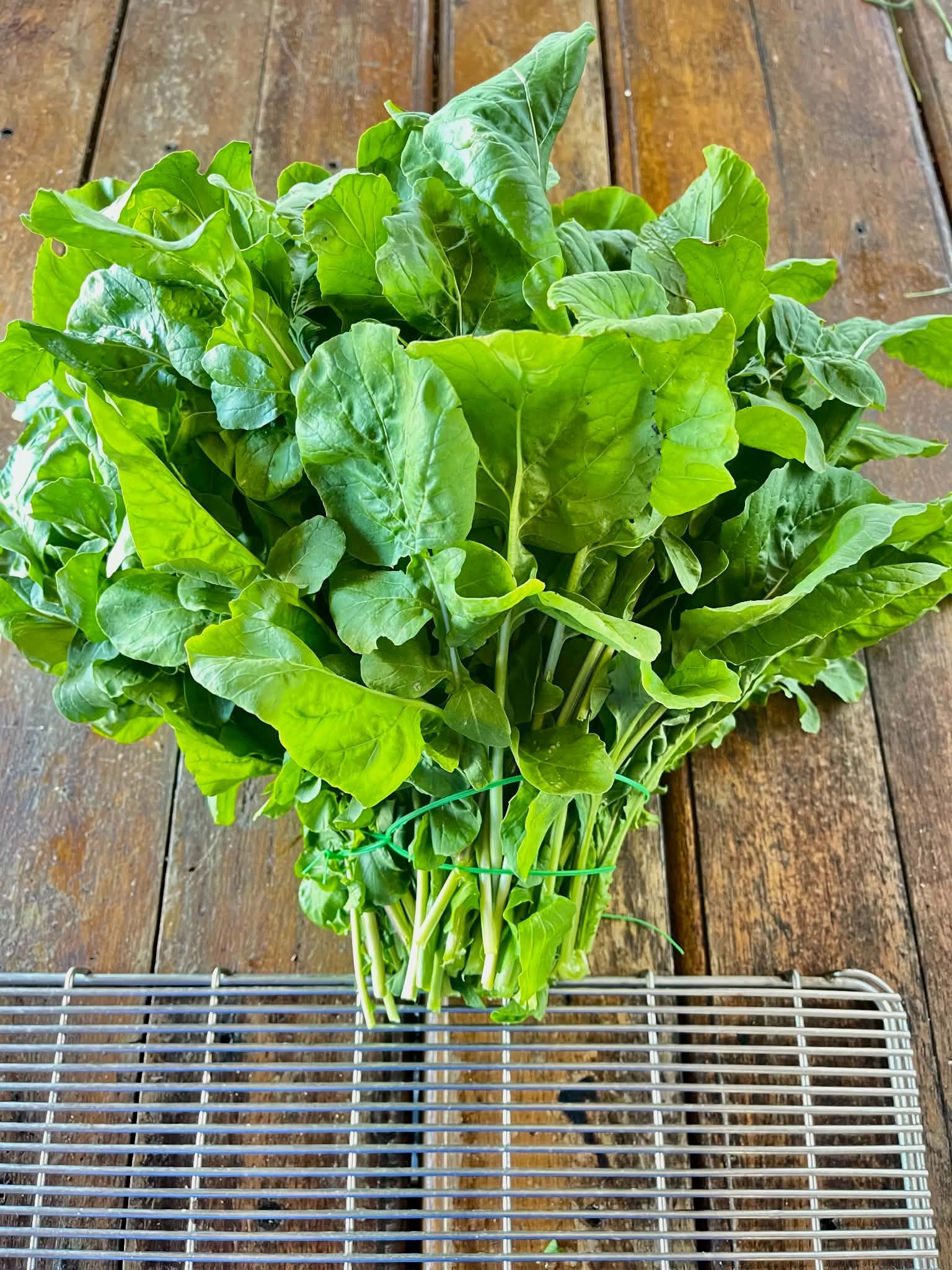 arugula