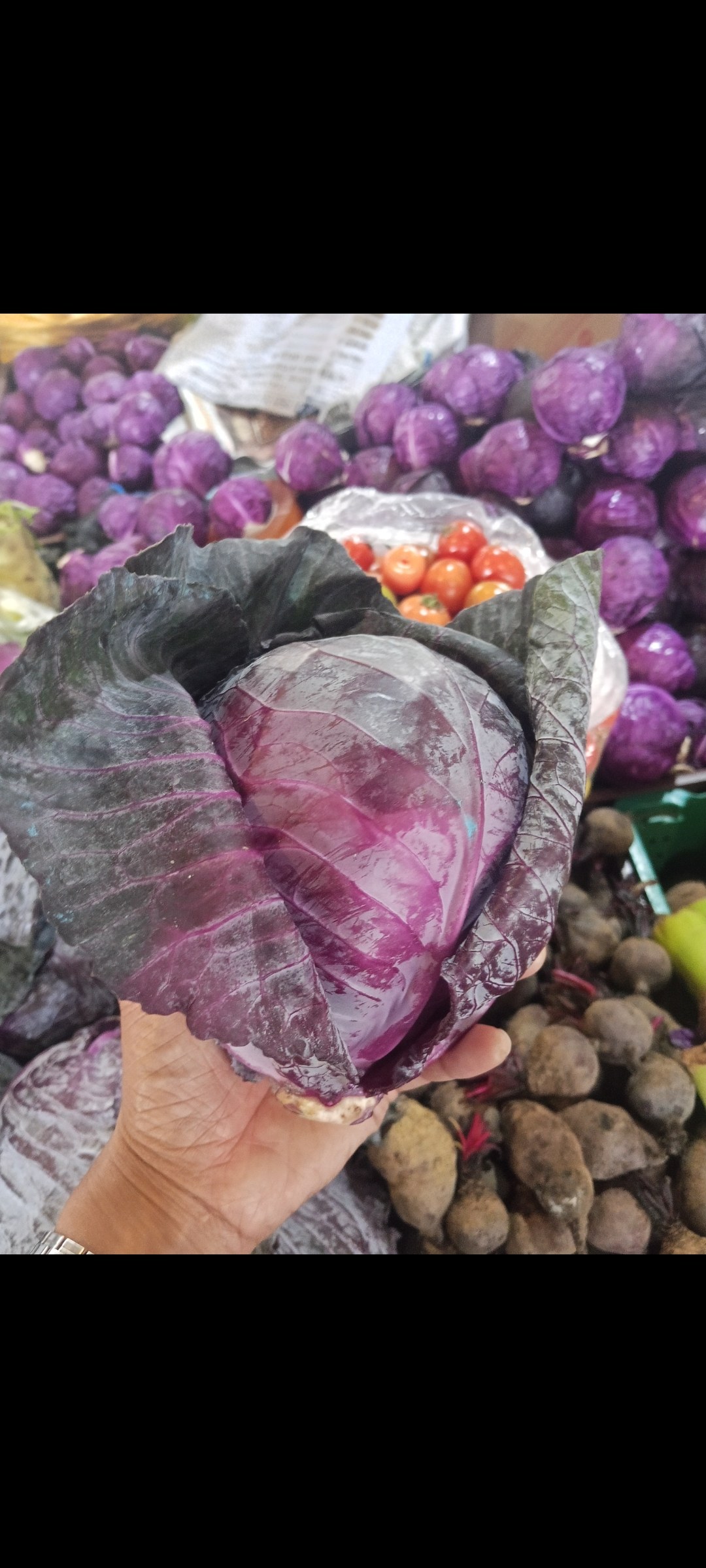 Purple Cabbage