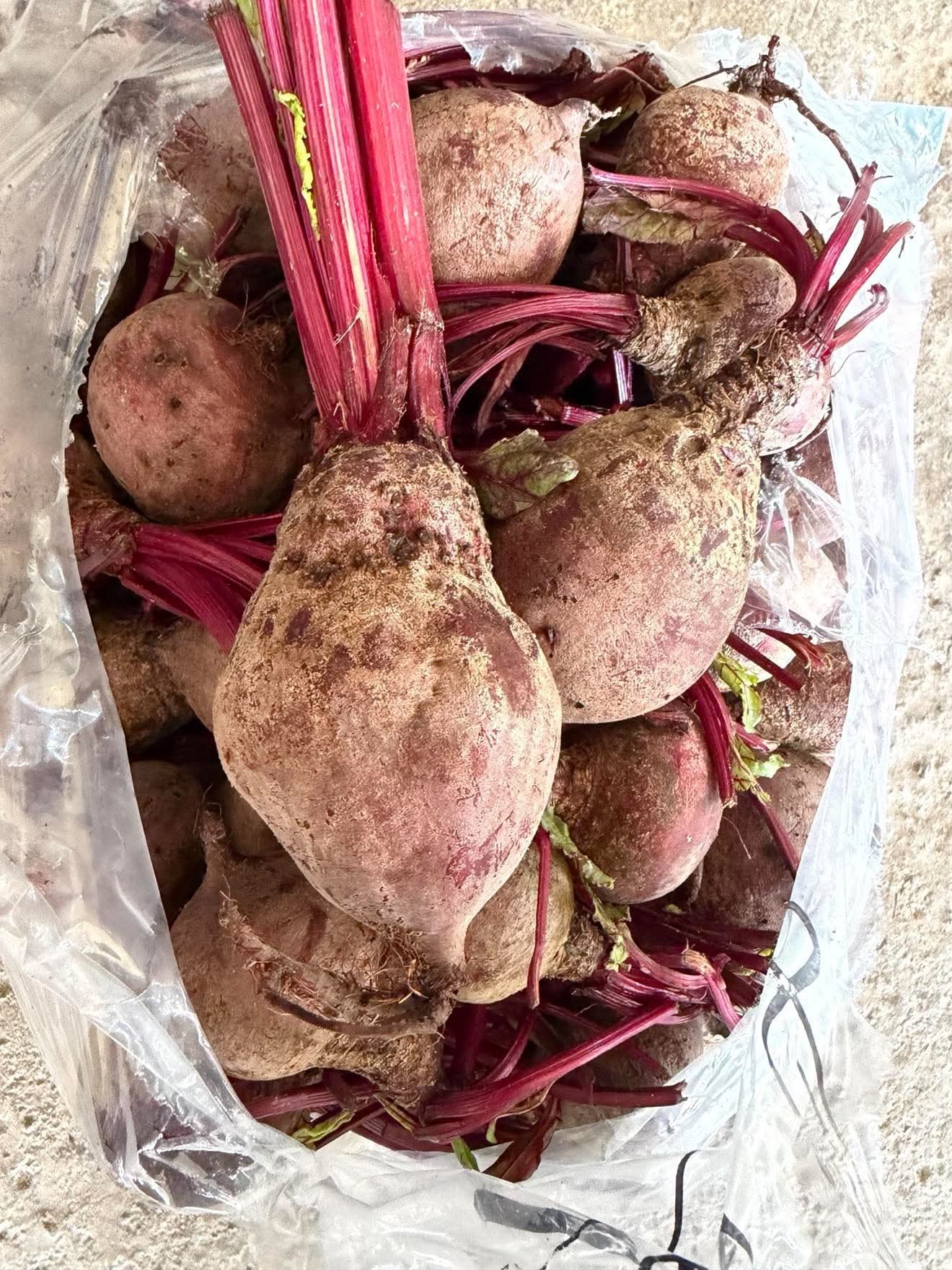 Beets photo 2