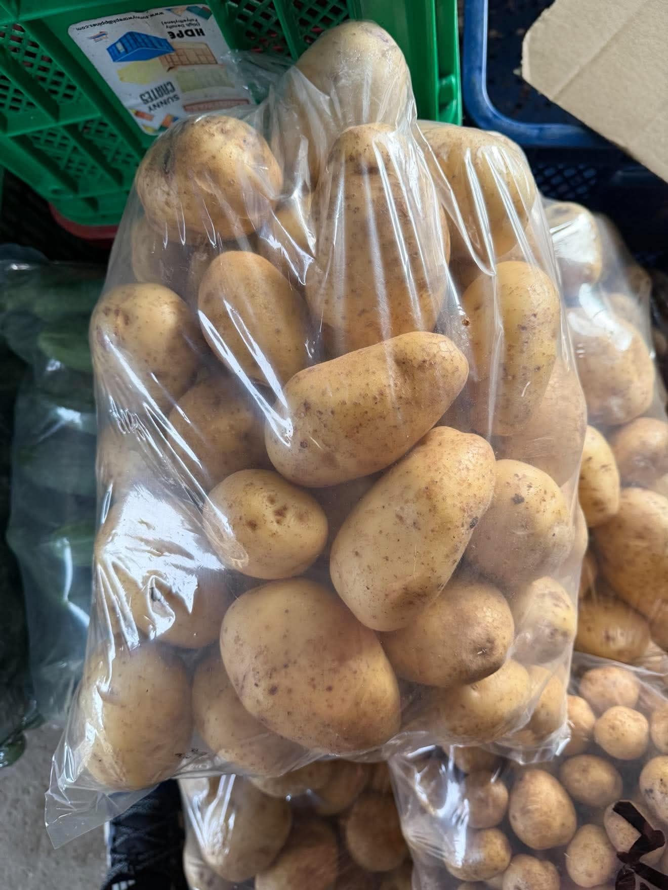 Potato (Regular washed) photo 3