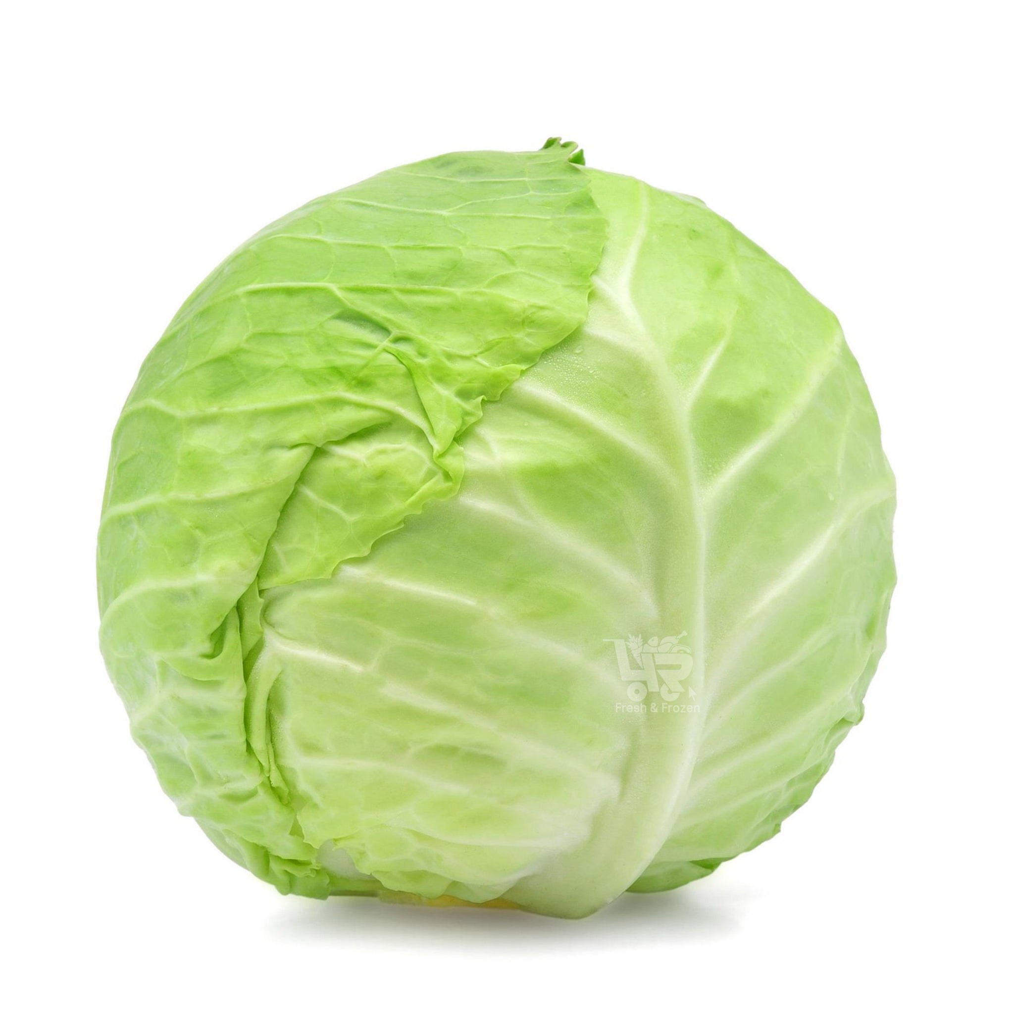 Repolyo (Cabbage) photo 2