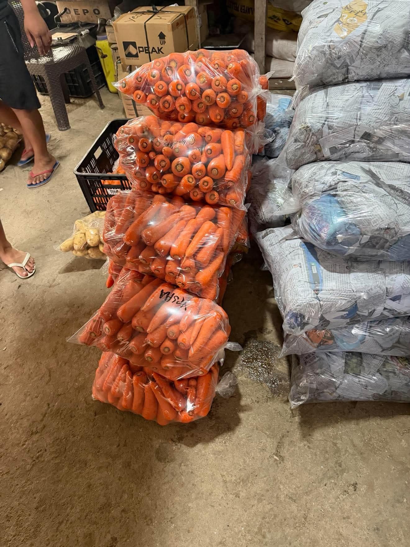 Carrots (washed) photo 3