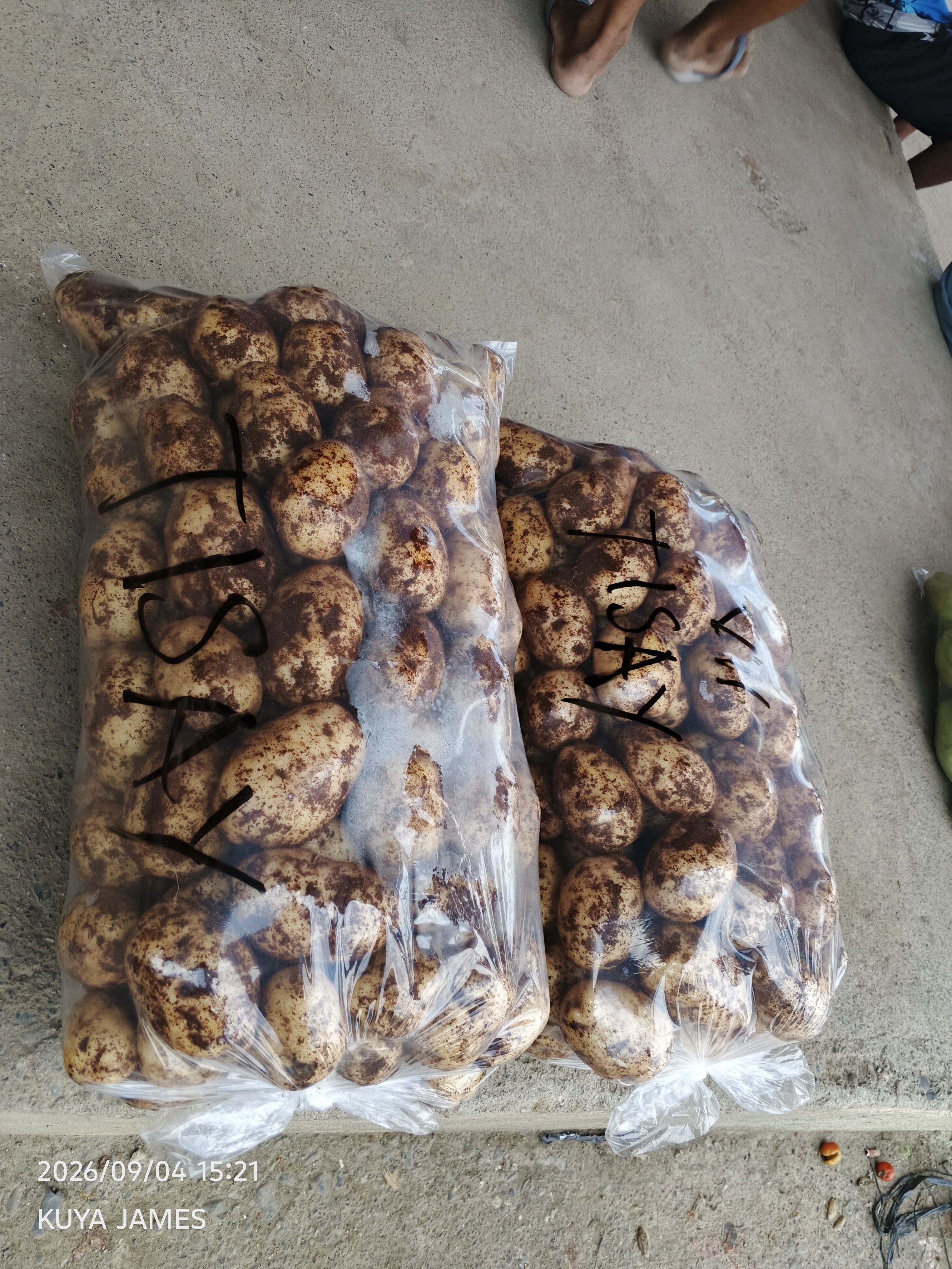 Potato photo 4