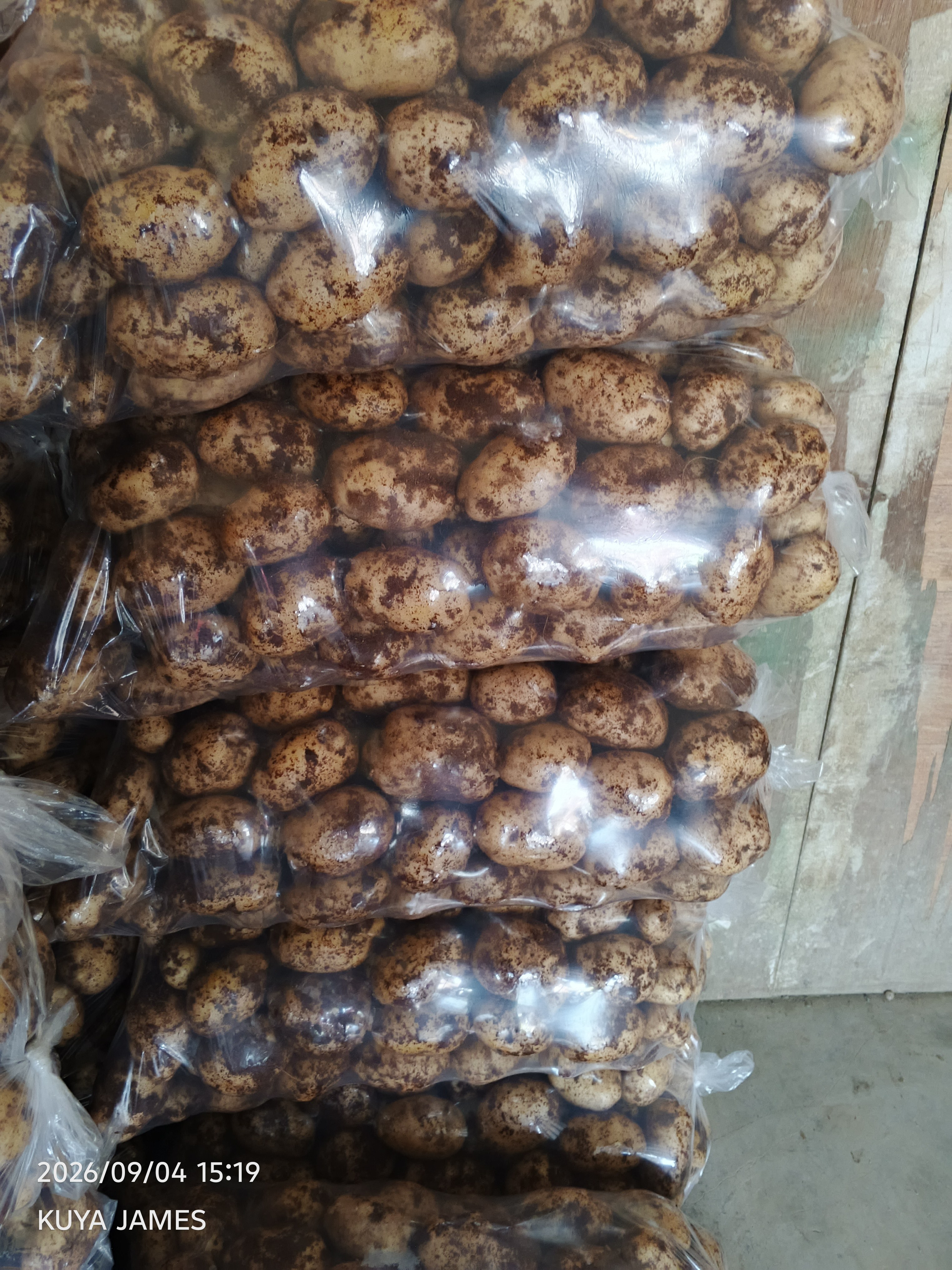 Potato photo 3
