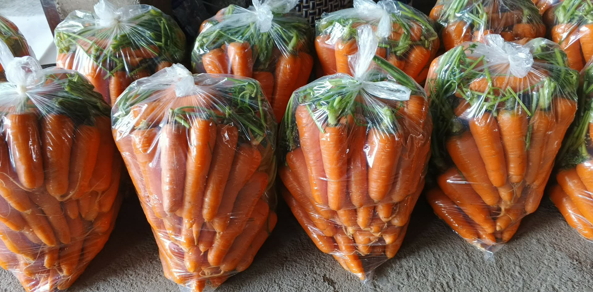 CARROTS