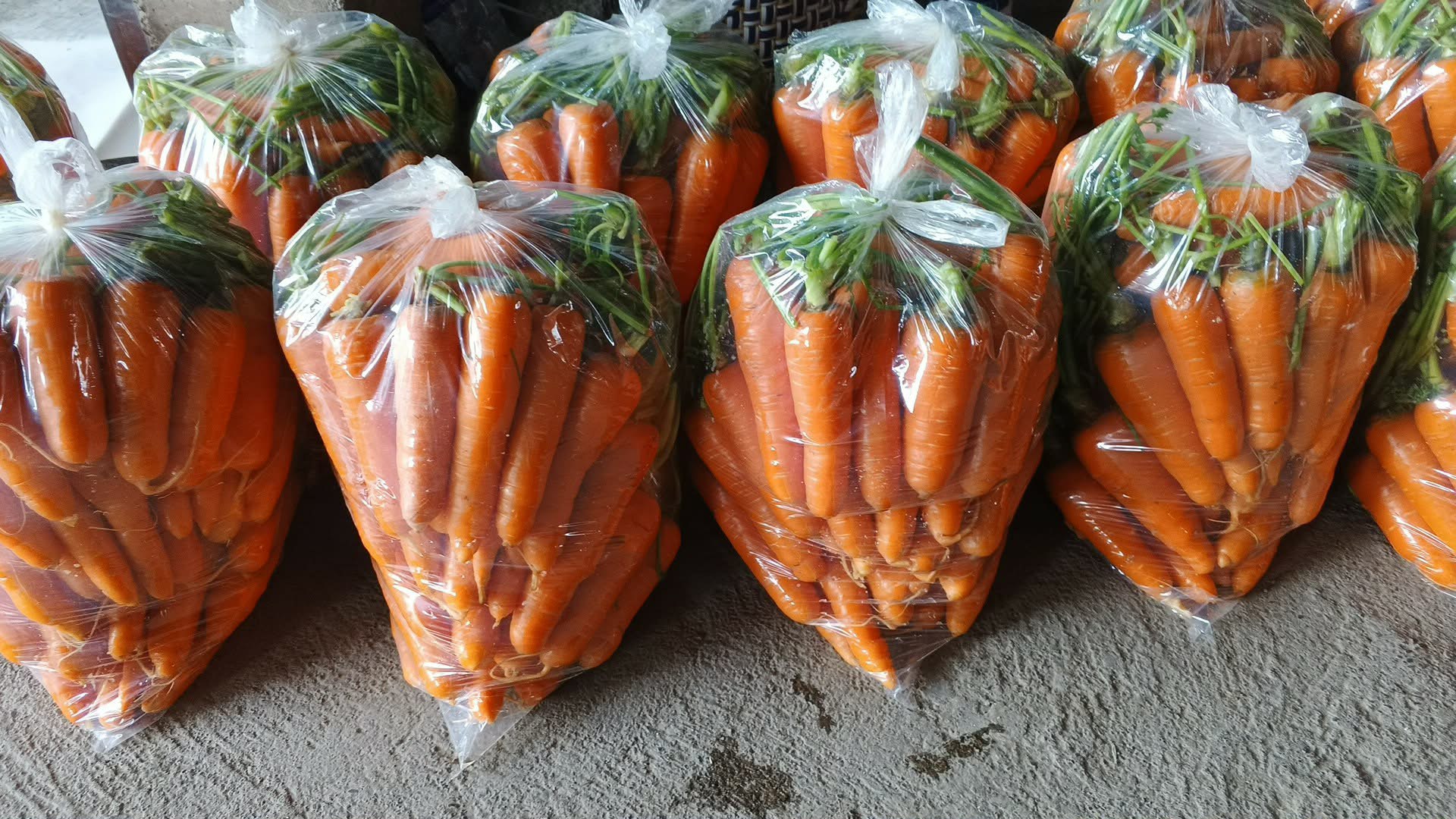 CARROTS photo 2