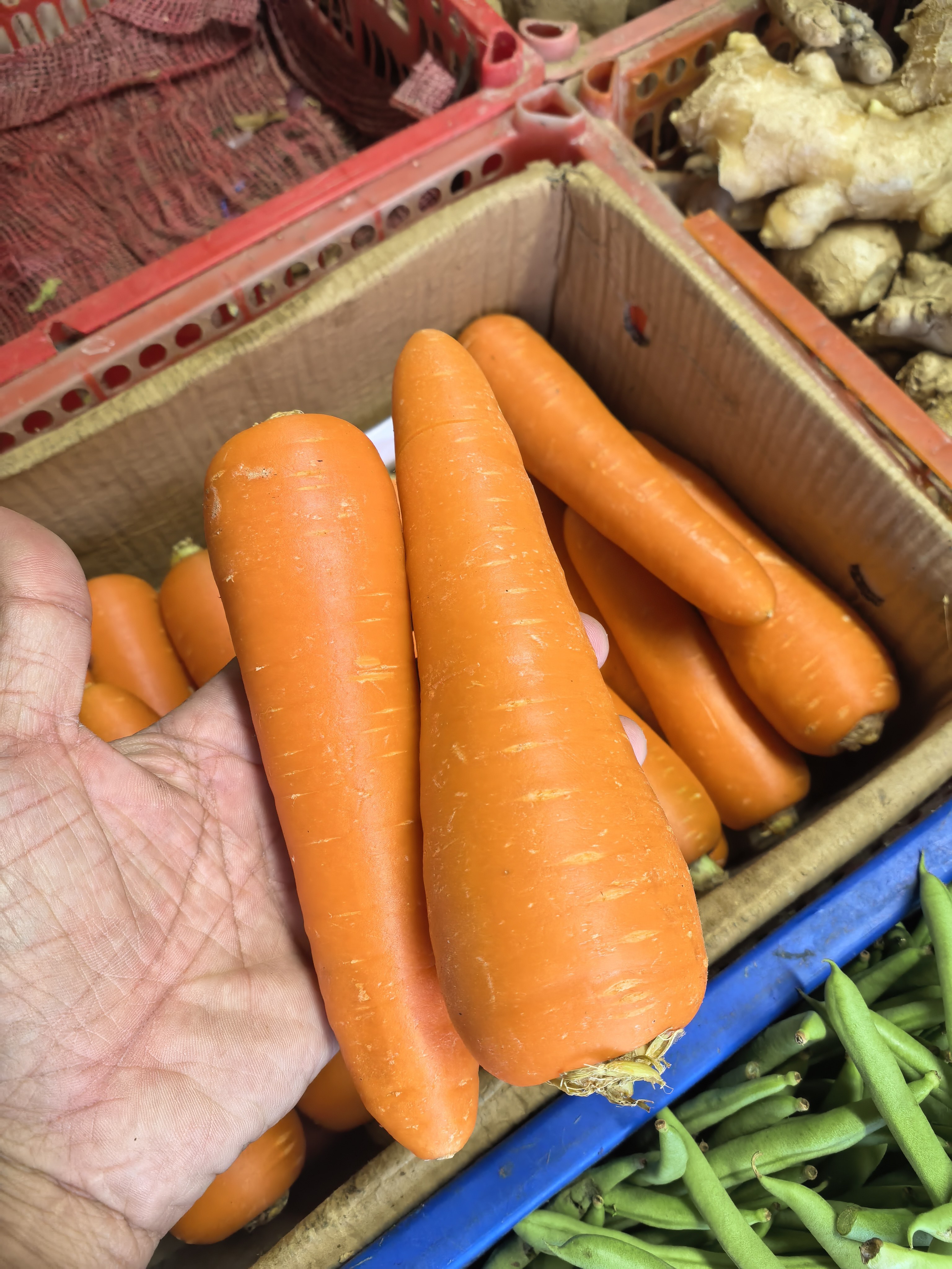Carrots