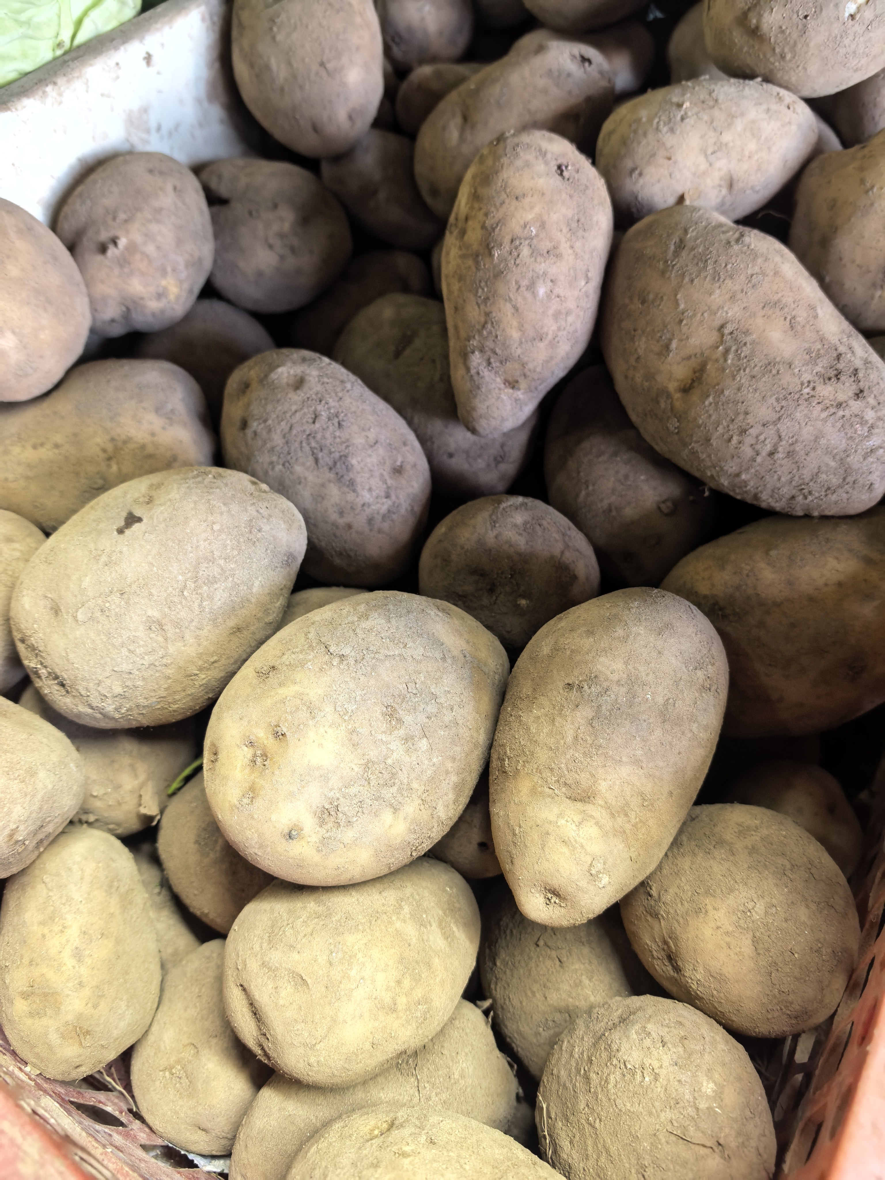 Patatas (Potato) photo 3