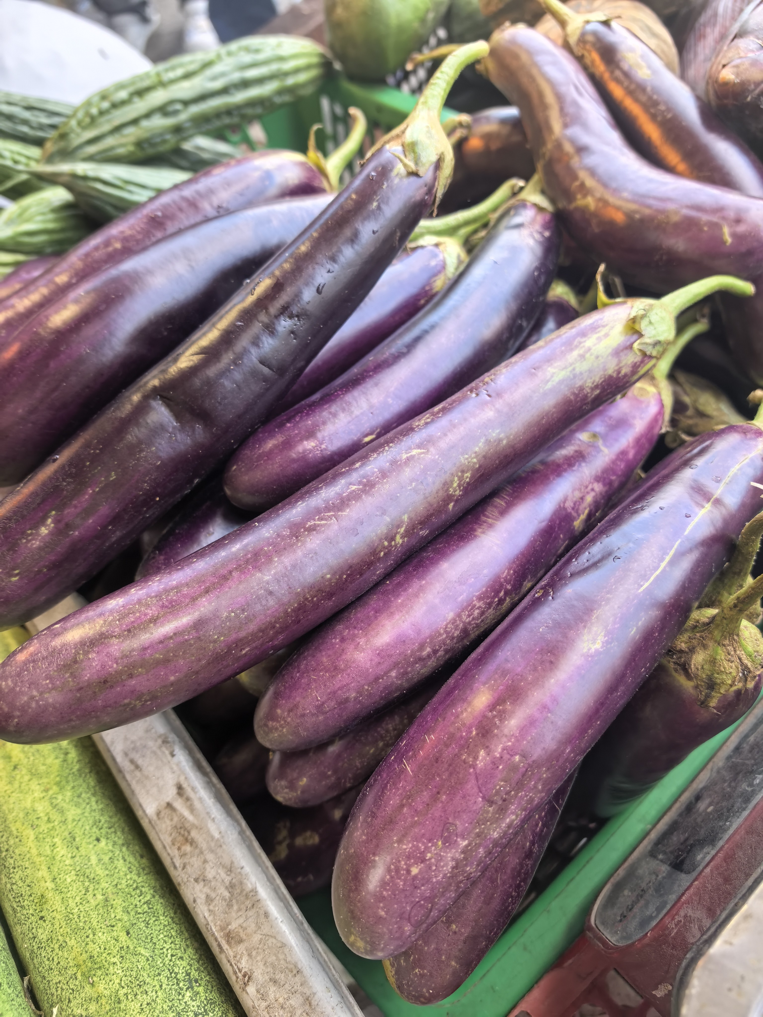 Talong(Eggplant) photo 3