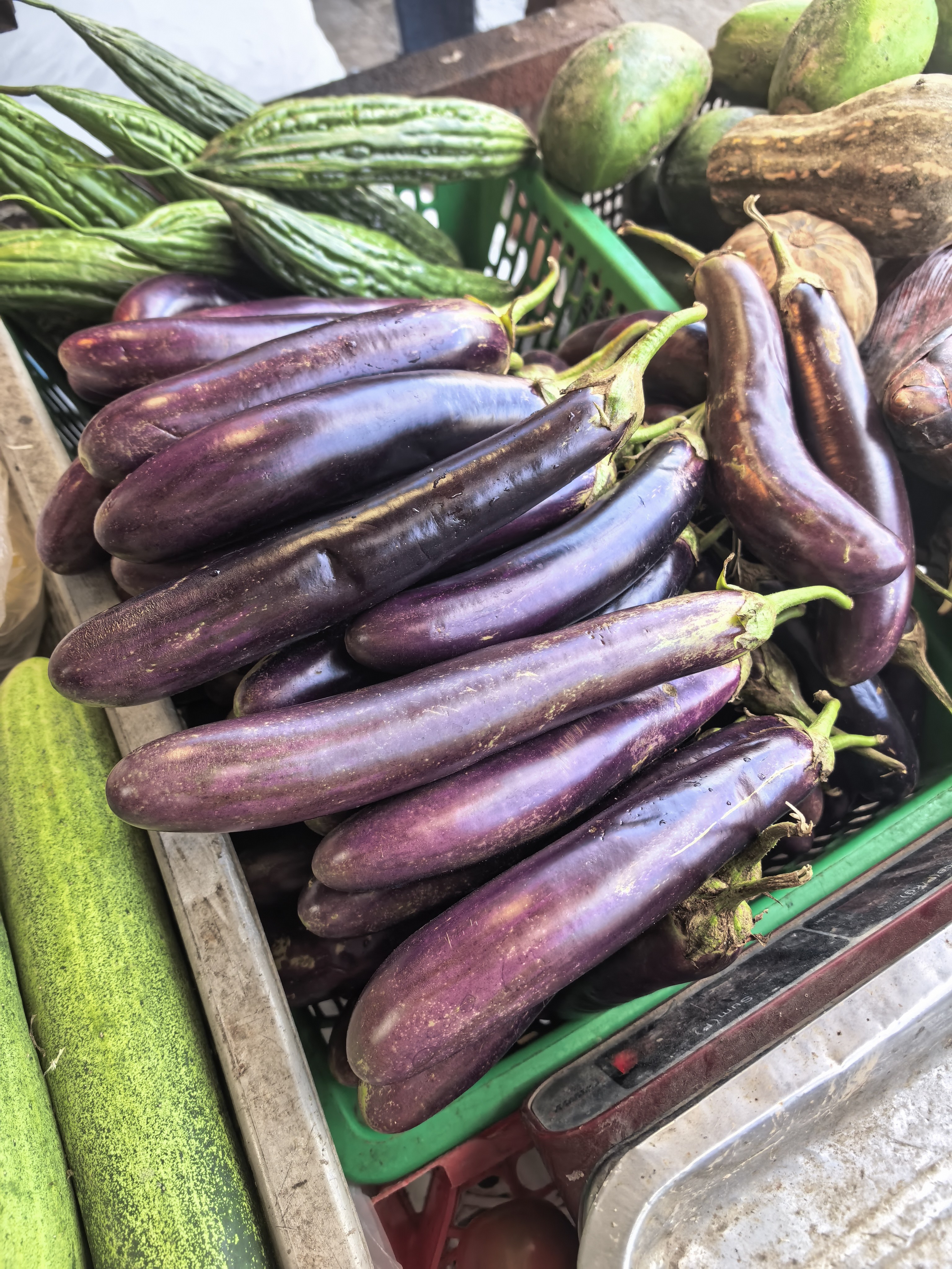 Talong(Eggplant) photo 2