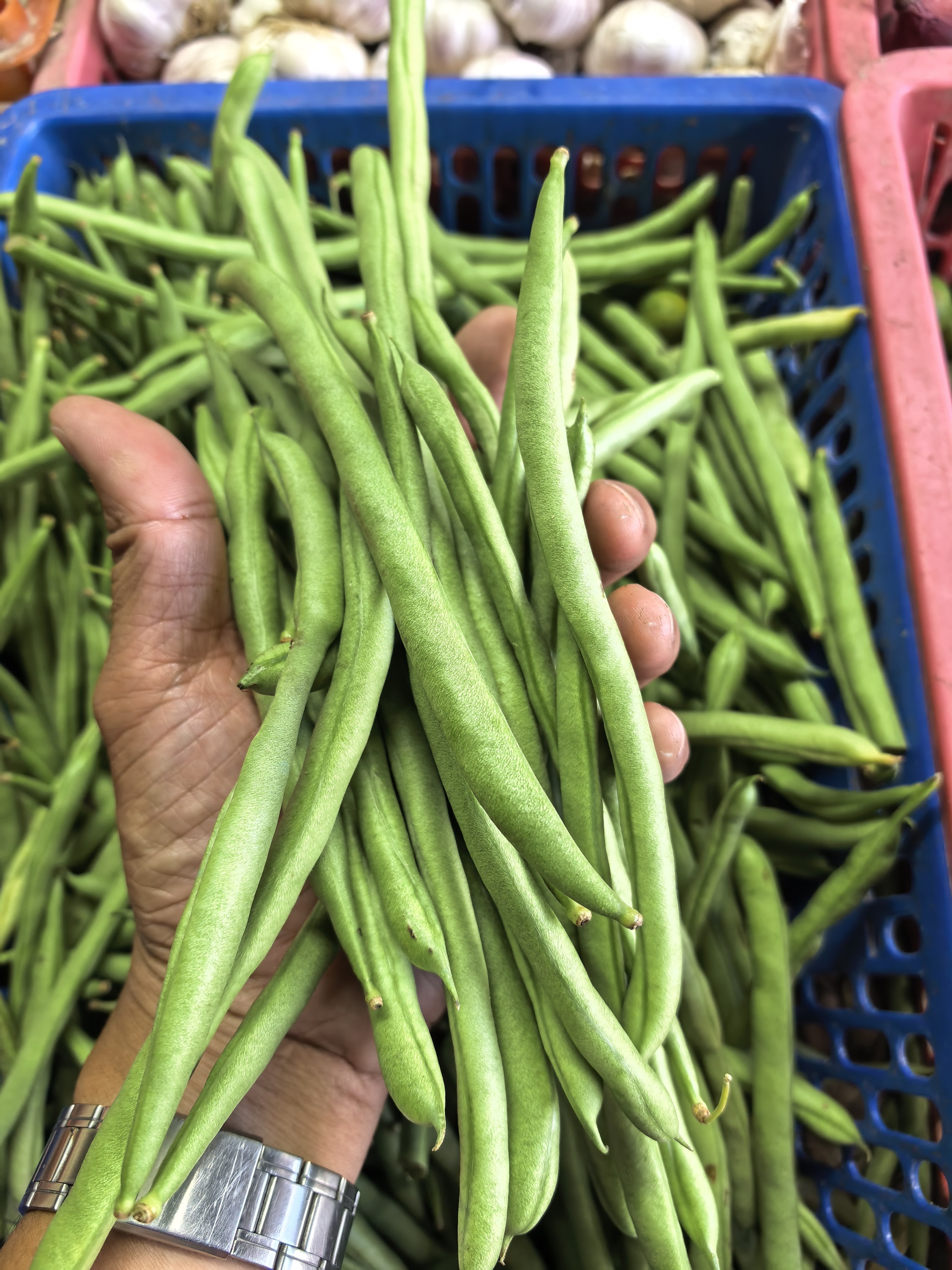Baguio Beans