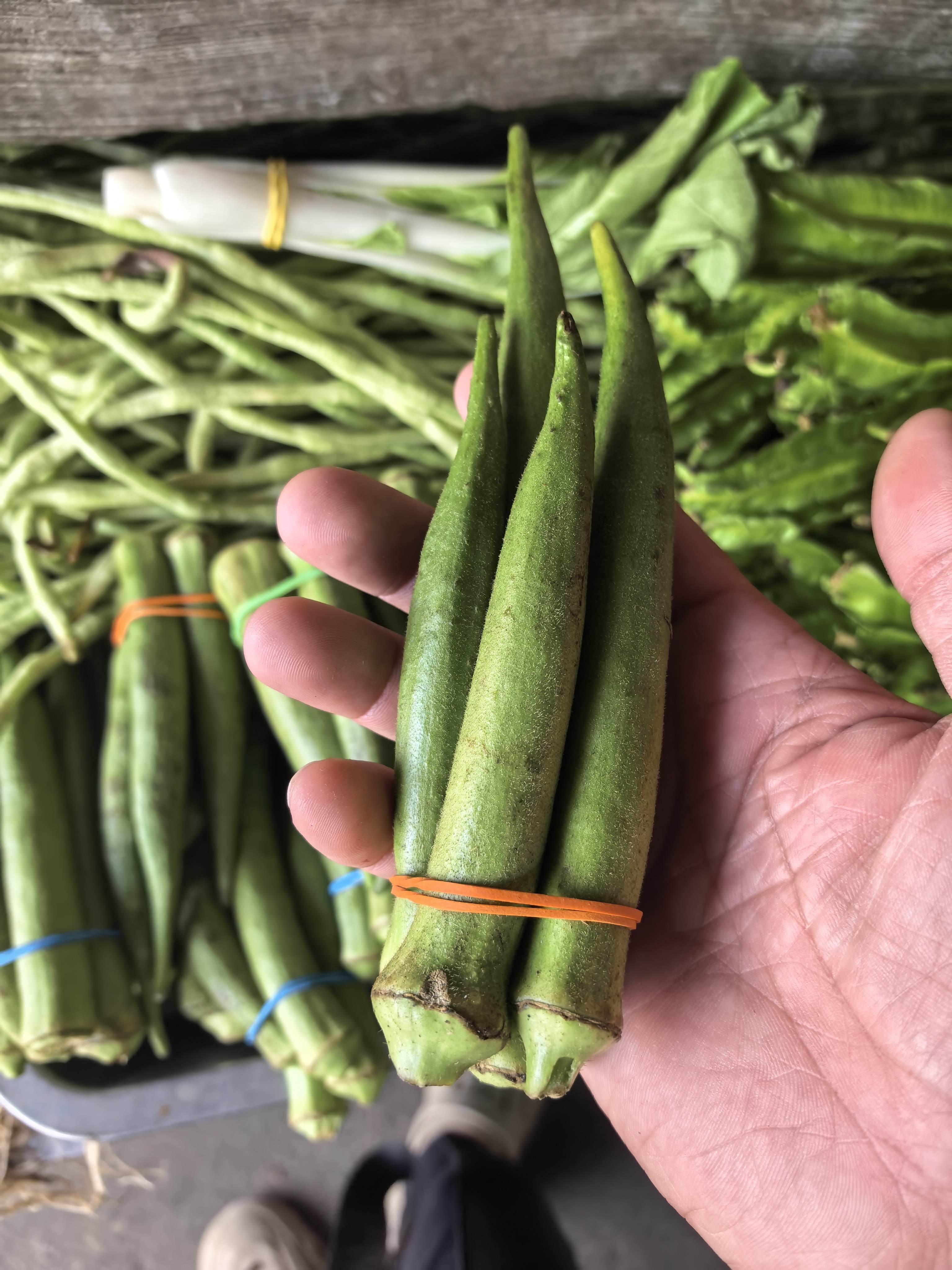 Okra