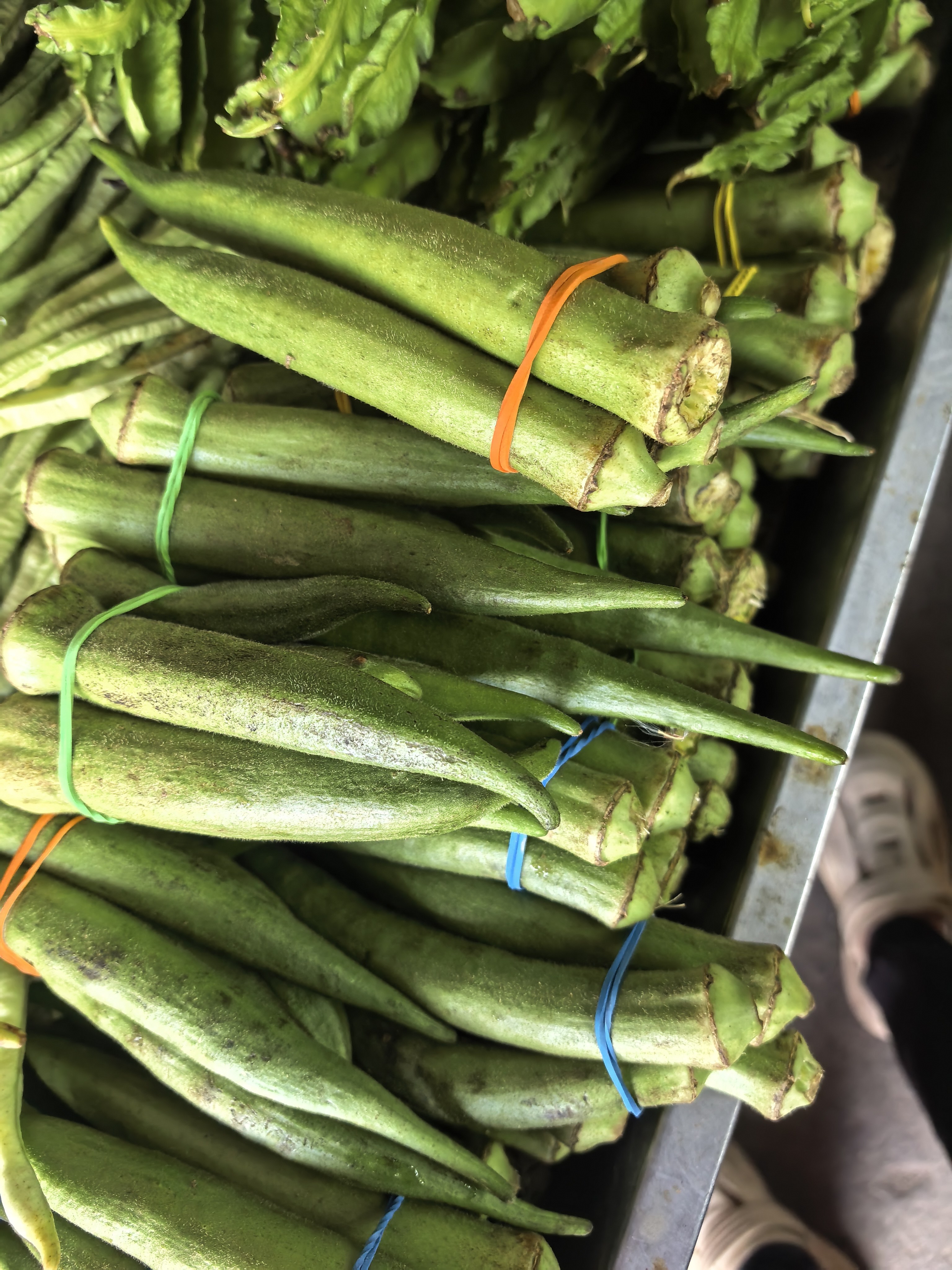 Okra photo 3