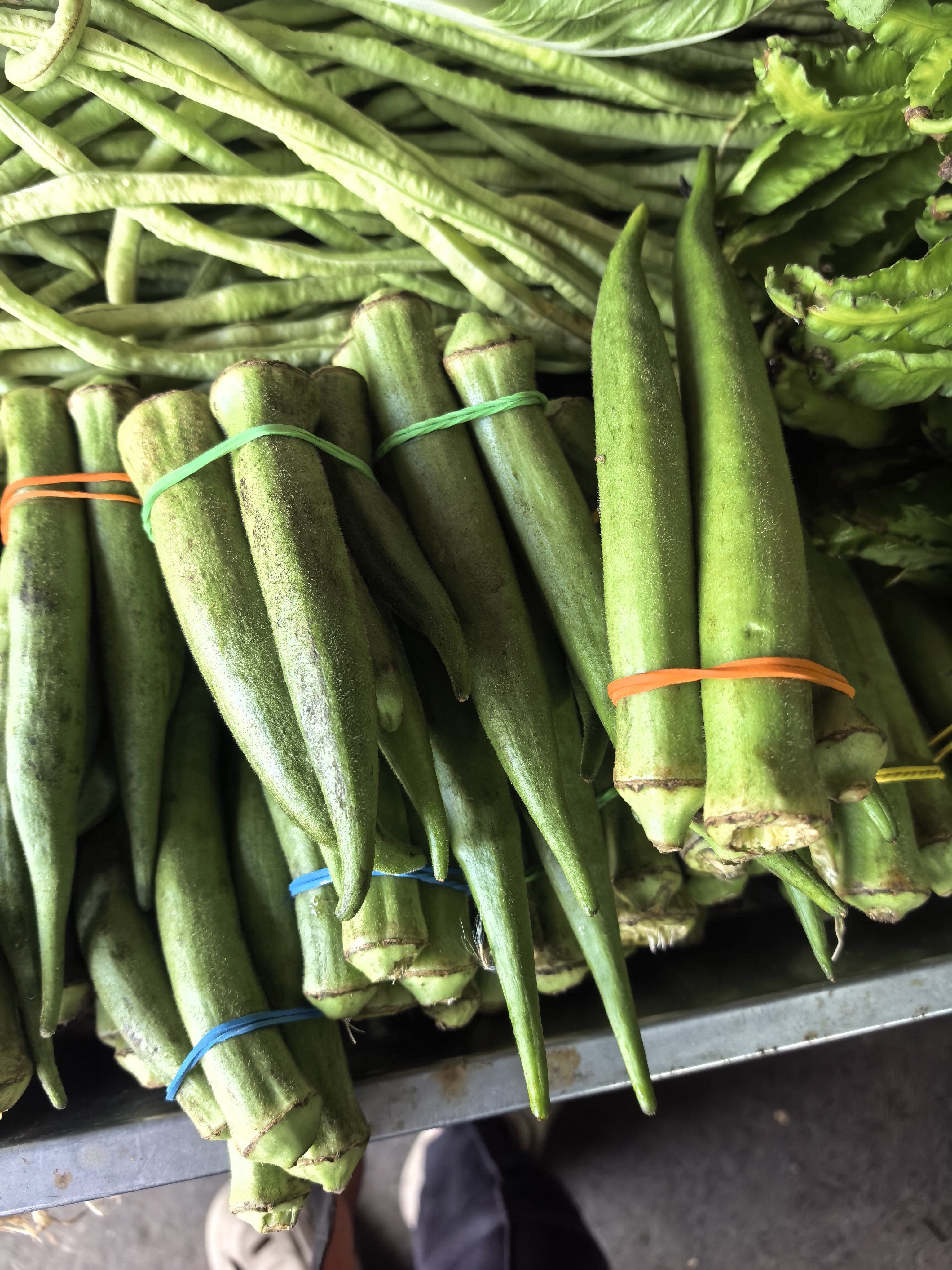 Okra photo 2