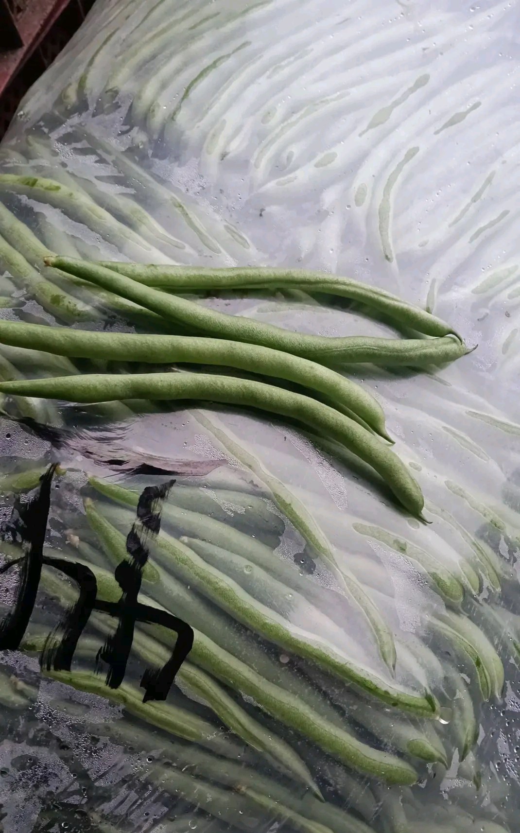 beans