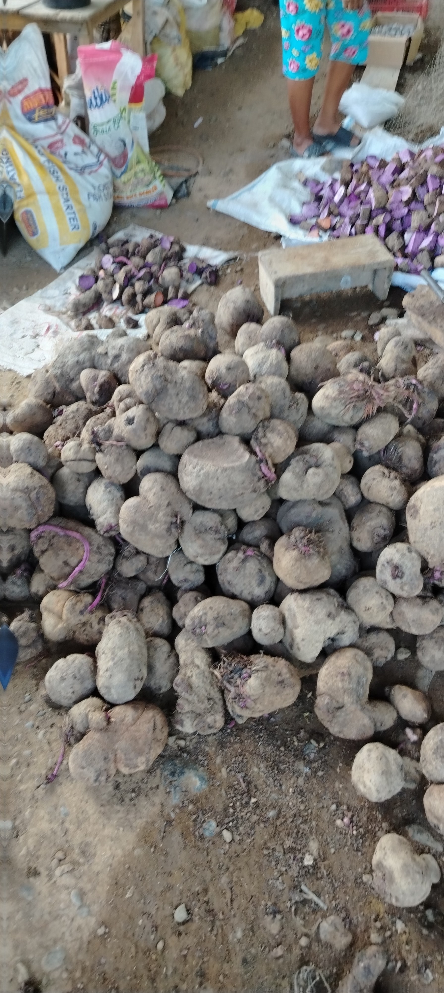Ube raw photo 4