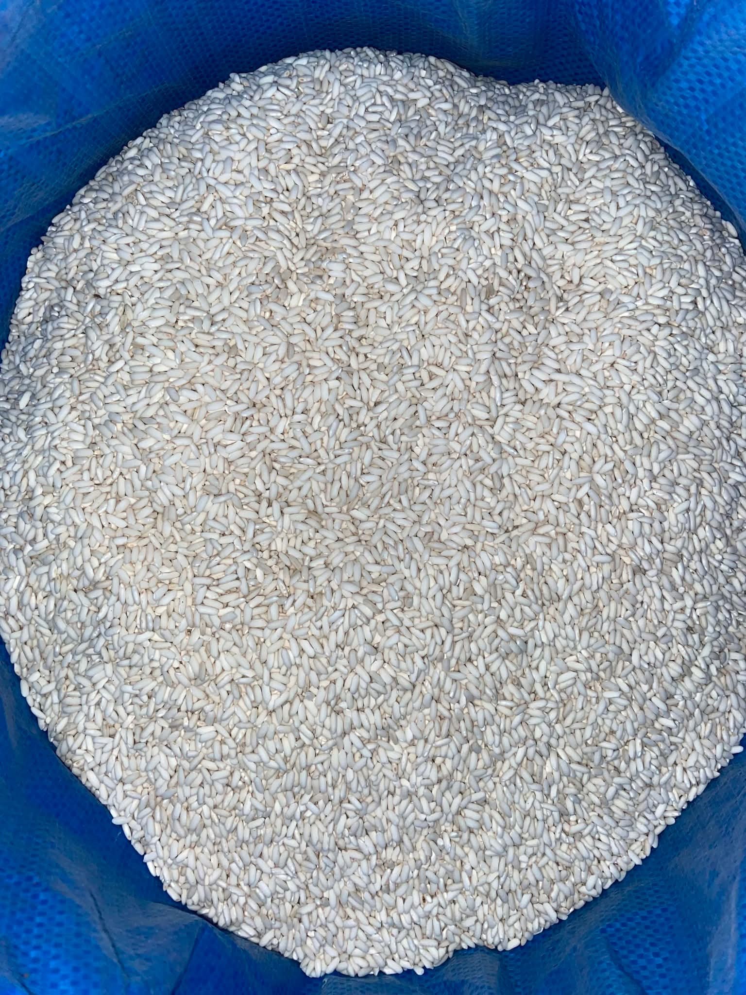 Bigas na malagkit photo 4