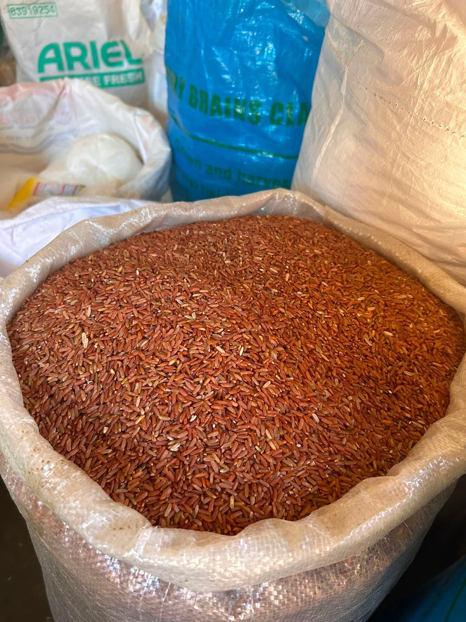 red rice photo 2