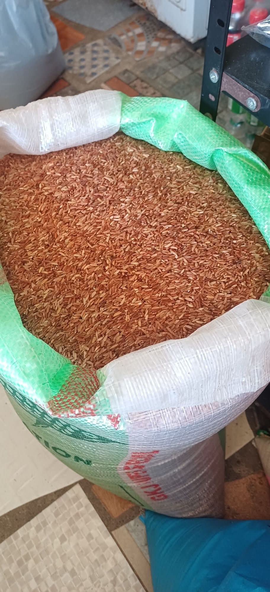 red rice