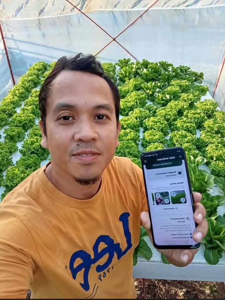 fresh olmetie & Romain variety hydroponically grow